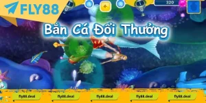 ban ca doi thuong gioi thieu 2